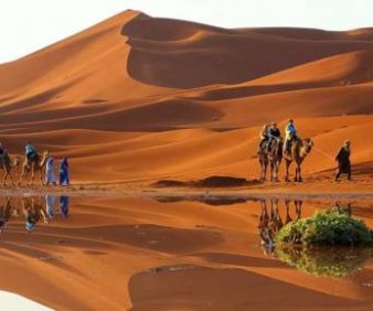 Sahara desert camel trekking tours